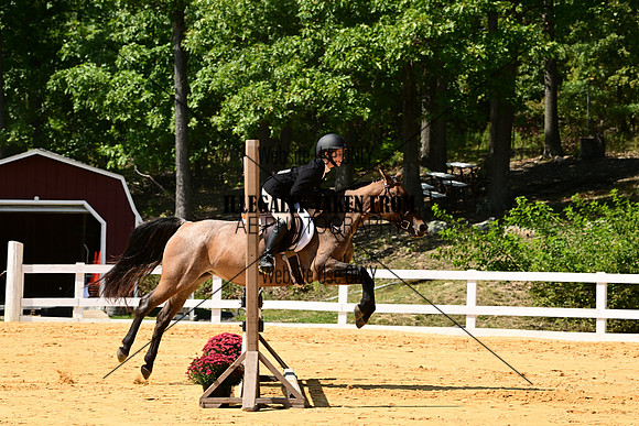 AJB_0647