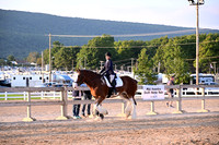 AJB_5437