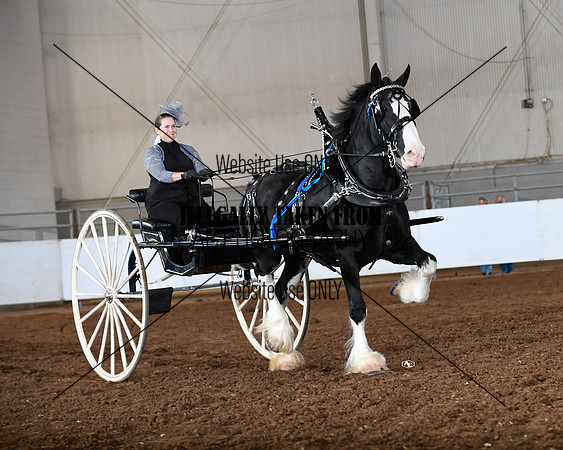 shires_5815