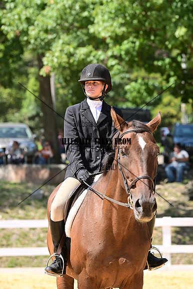 AJB_0908