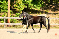 AJB_0300