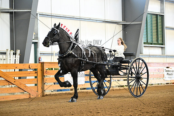 AJB_8196