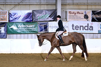 73 All Breed WTC Hunter Under Saddle