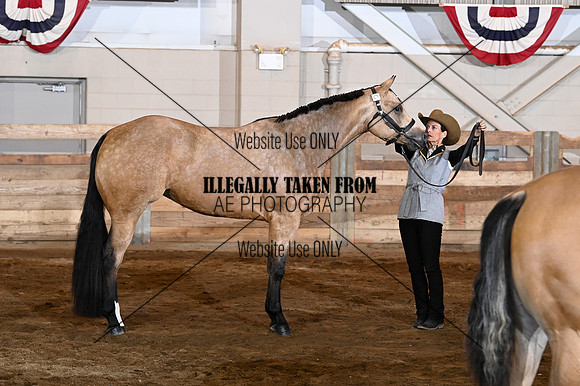 _BRY8517