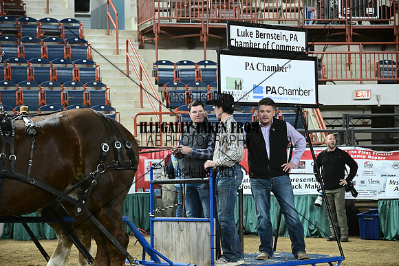 ASH_3332