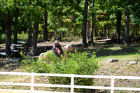 AJB_2434