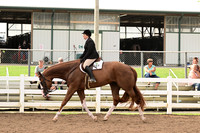 AJB_6447