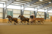 Four Horse Hitch-2