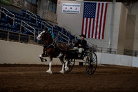 Draft Pony - Men's Cart
