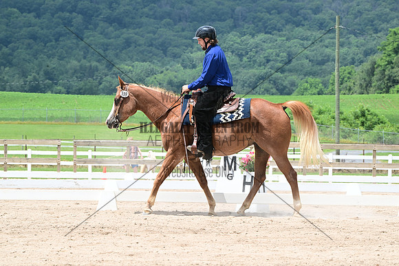 AJB_2982