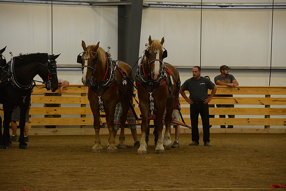 Farm Team-1