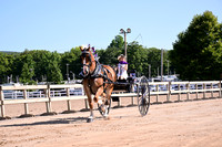AJB_4670