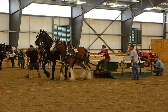 Farm Team-21