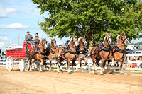 AJB_0493