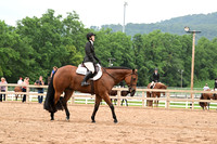 AJB_6917