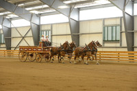 Four Horse Hitch-9