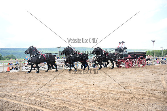 AJB_0567