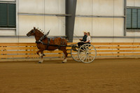 Sr. Youth Cart-4