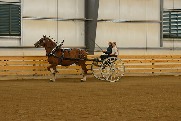 Sr. Youth Cart-4