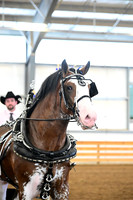 AJB_7156