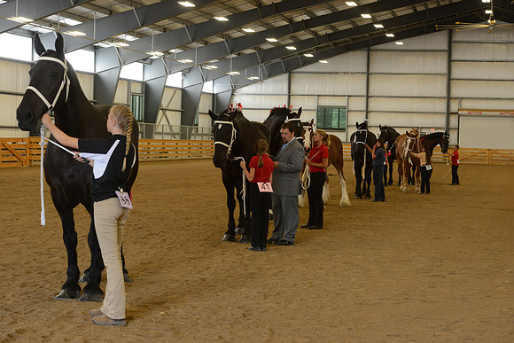 Jr. Youth Showmanship-32