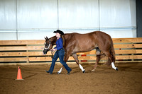 Youth Performance Geldings