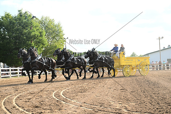 AJB_0468