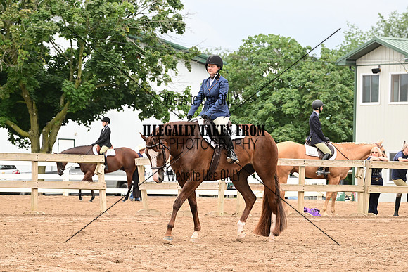 AJB_6738