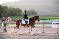 AJB_5466