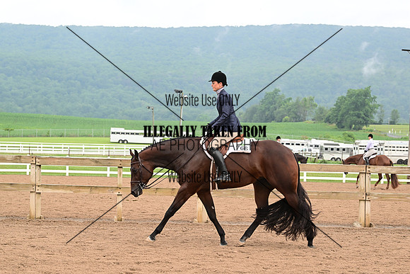 AJB_6201