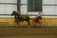 Ladies Cart_Belgians-11