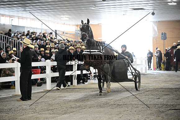 ASH_8690
