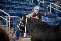 KILE_10052024_SCL5300