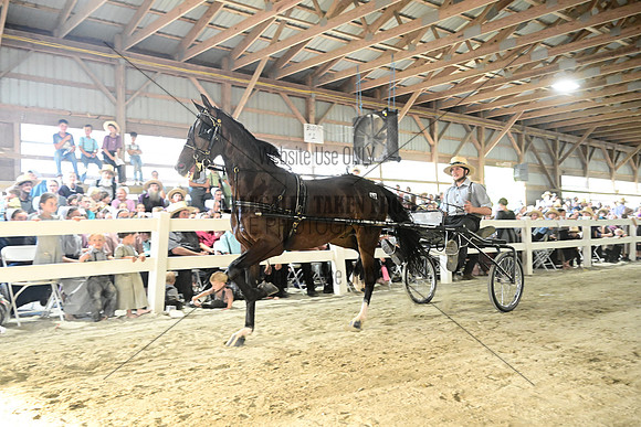 AJB_0677
