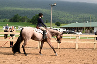 AJB_6561