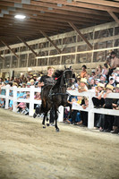 AJB_0283