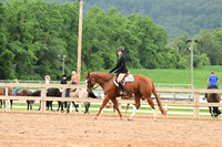 AJB_6854
