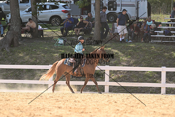 AJB_2919