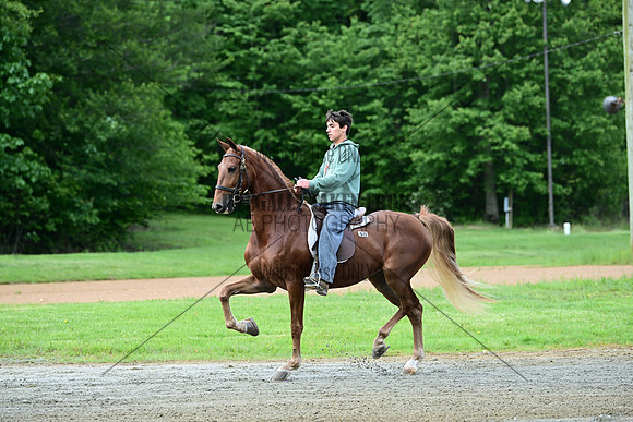 ASH_5445