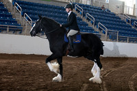 Youth English Riding WT