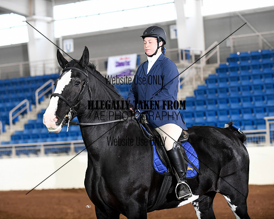 shires_6305