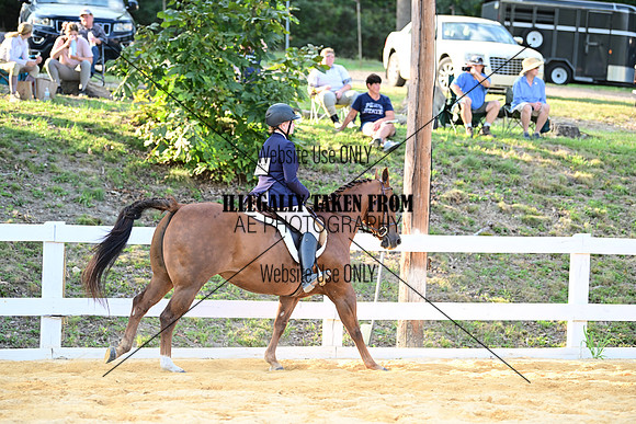 AJB_1598