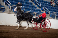 Clyde Shire - Ladies Cart