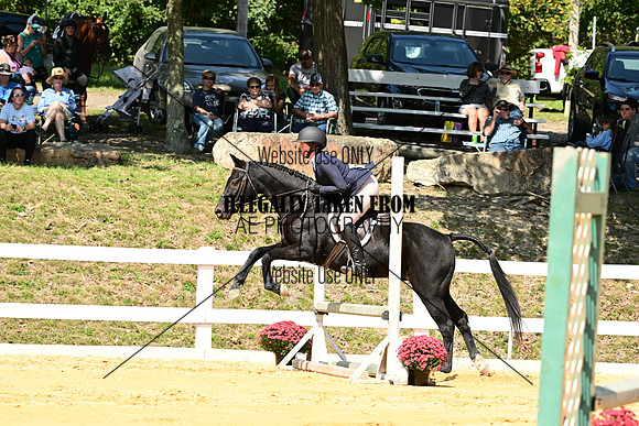 AJB_0671