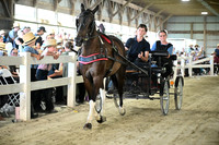 AJB_0312