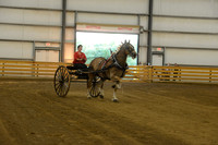 Ladies Cart_Belgians-20