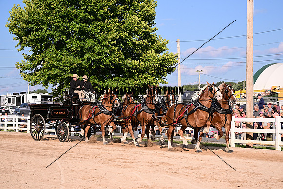 AJB_5314