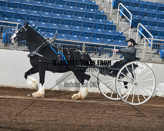 c.Harmon_3545