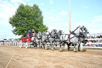 AJB_0449