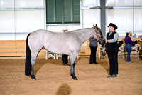 AJB_4753